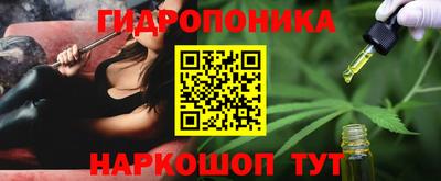 ECSTASY Владимир