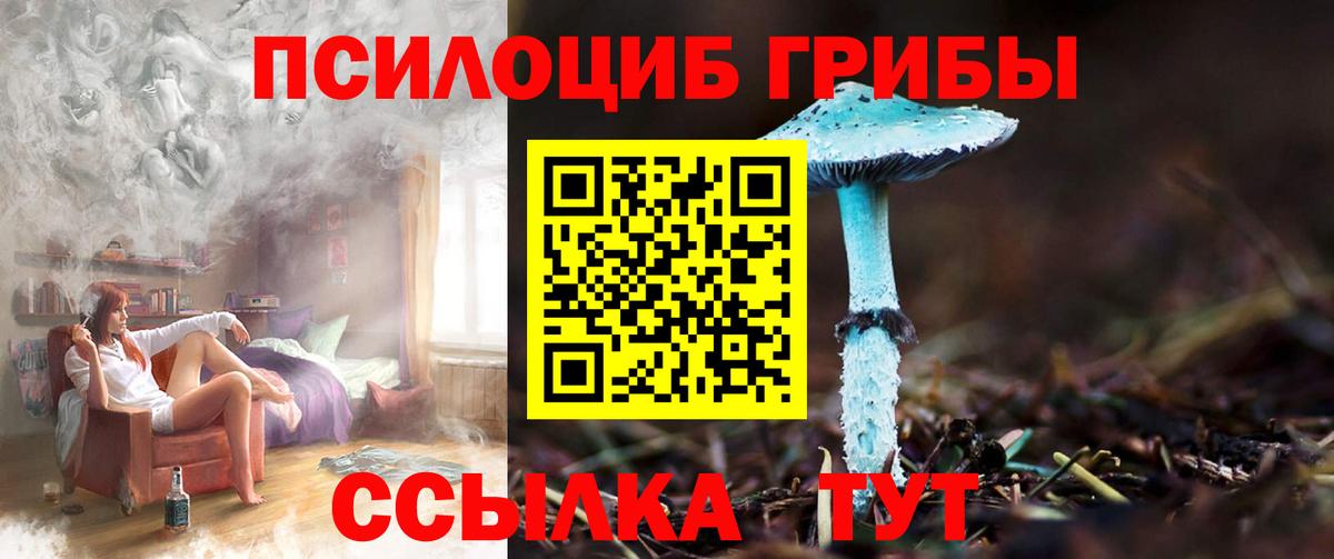 Галлюциногенные грибы мухоморы  Псилоцибиновые грибы GOLDEN TEACHER  Вход с VPN  Воскресенск 